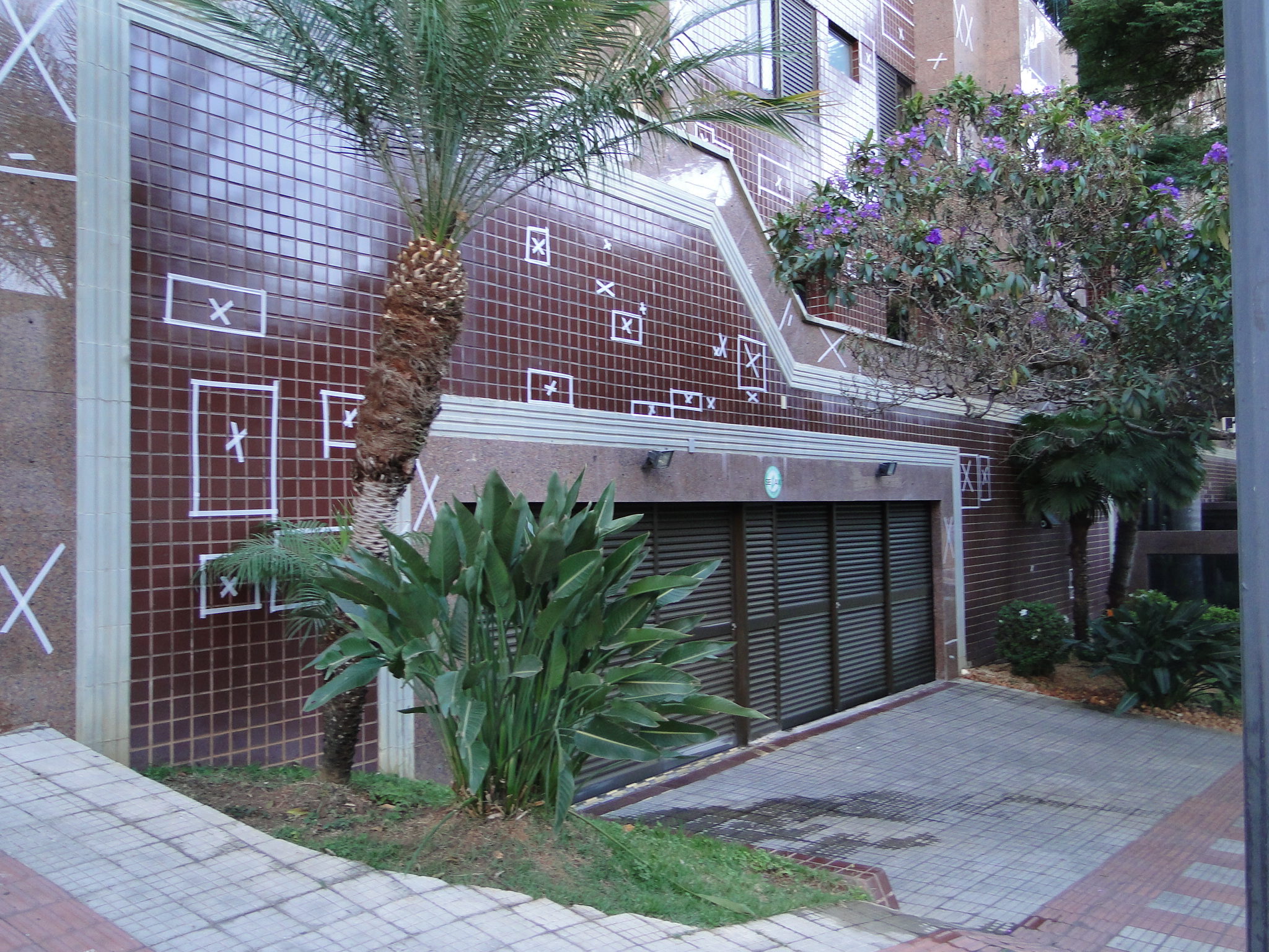 Golden Dream 1667.JPG