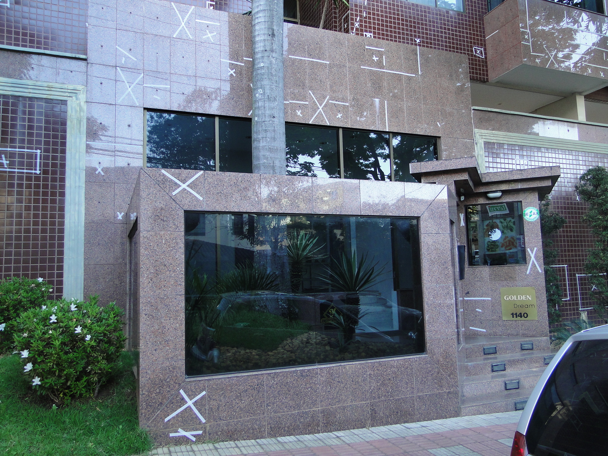 Golden Dream 1658.JPG