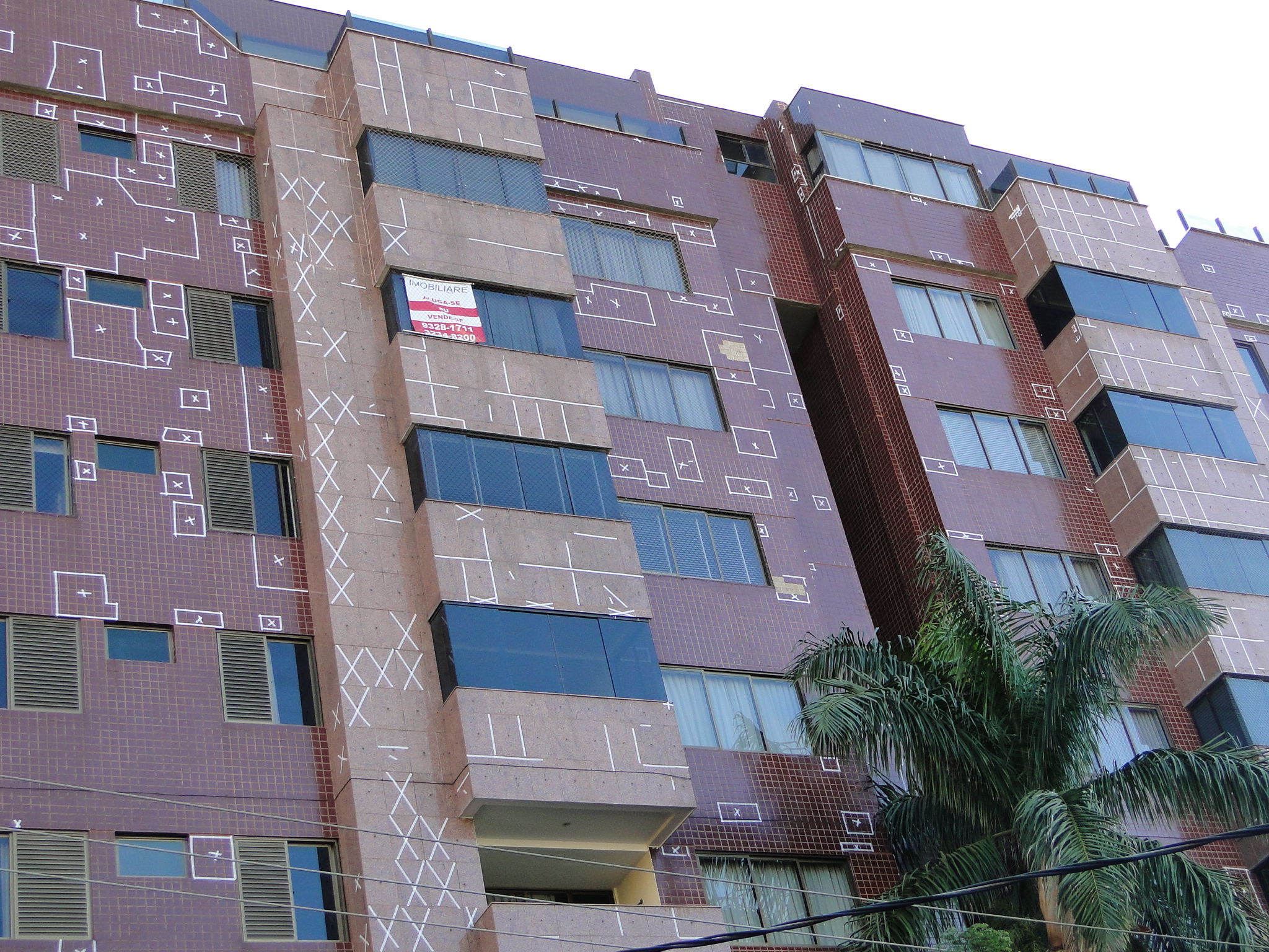 Golden Dream 1651.JPG