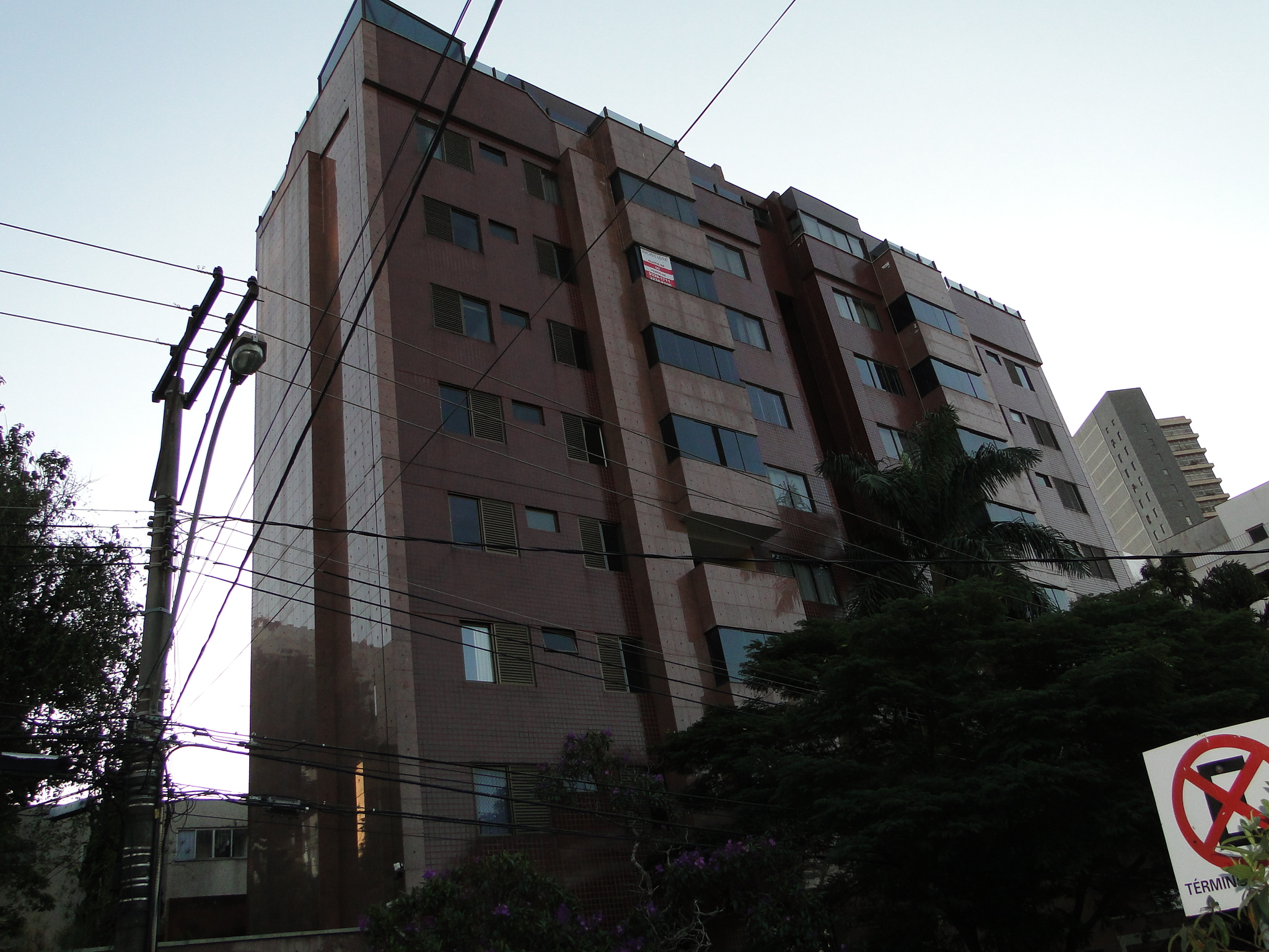 Golden Dream 1644.JPG