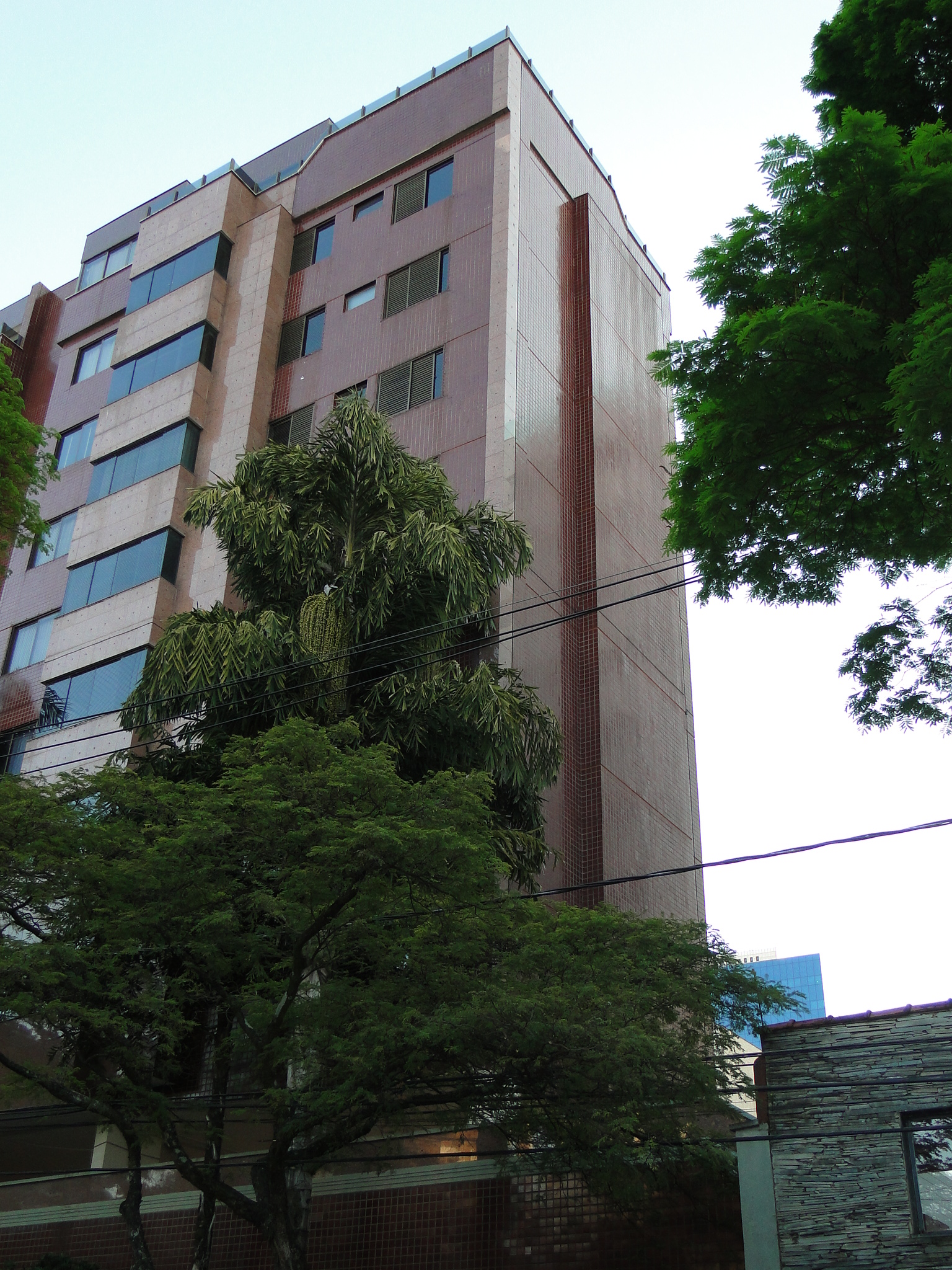 Goldem Dream obra pronta 1.JPG