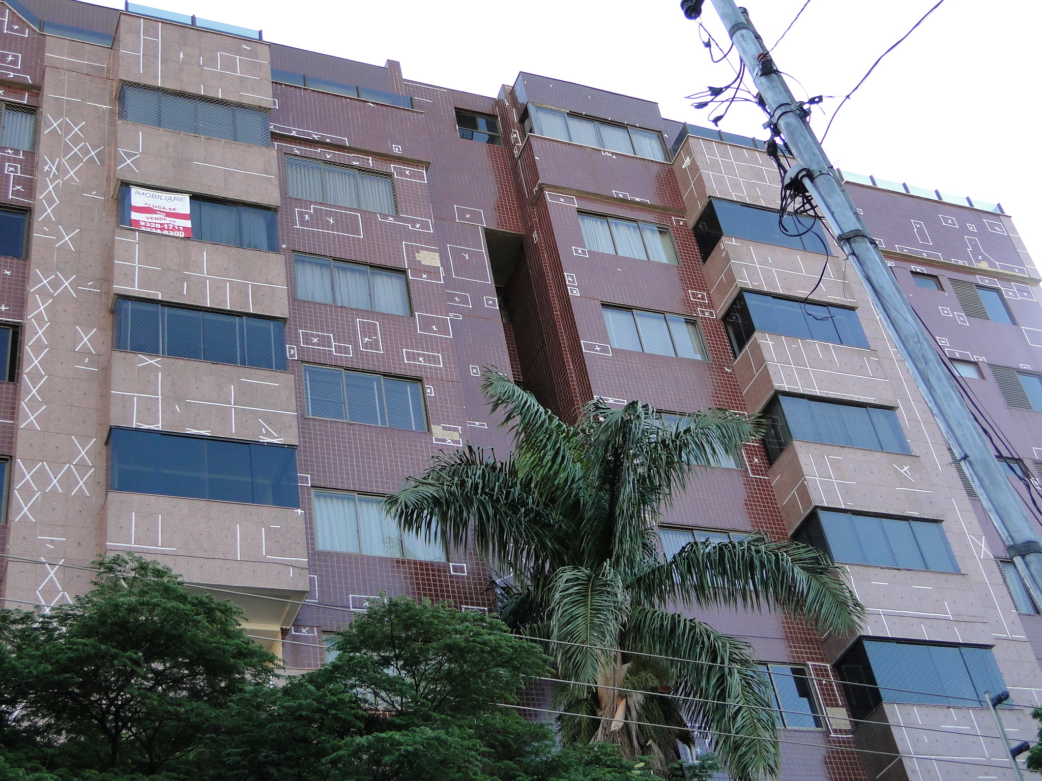 Golden Dream 1652.JPG