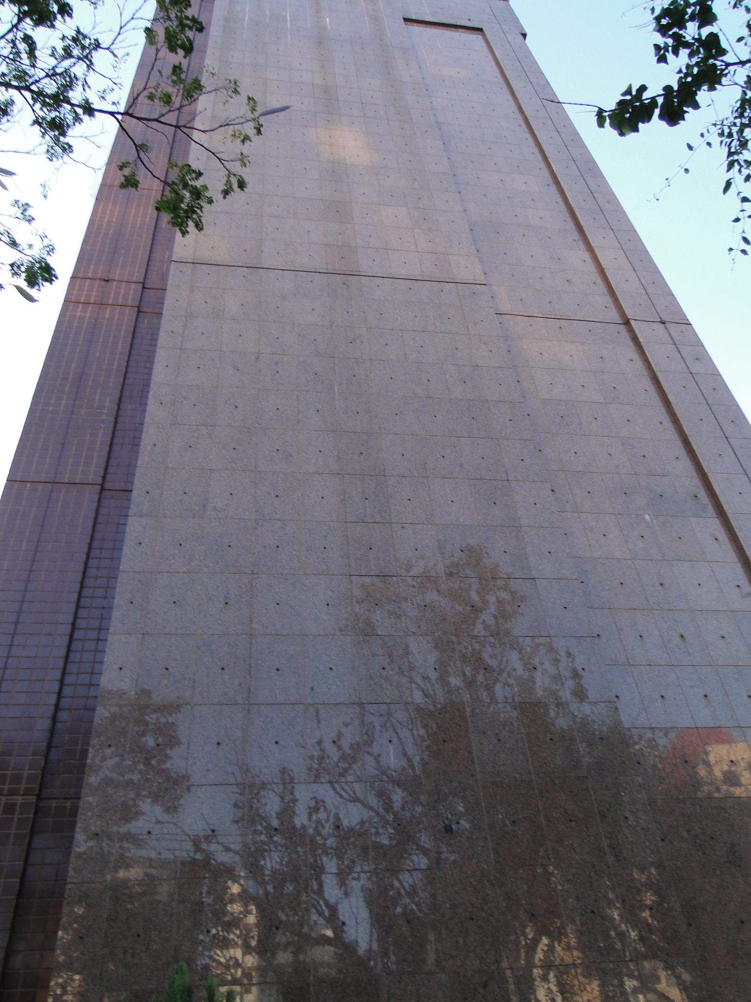 Golden Dream 1643.JPG