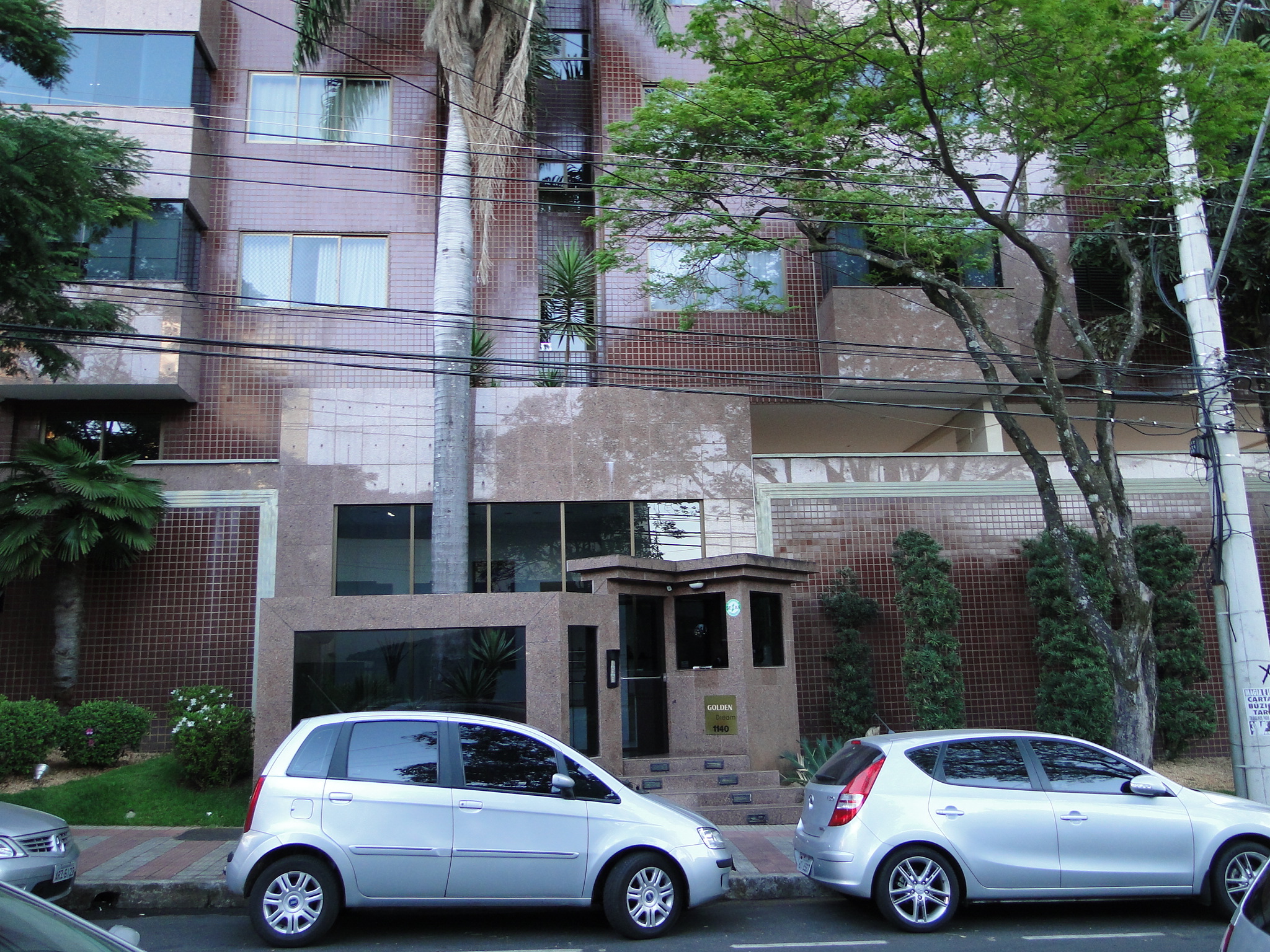 Golden Dream 1645.JPG