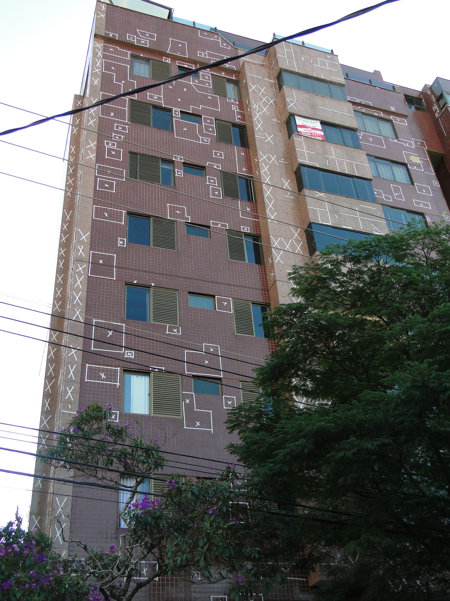 Golden Dream 1648.JPG